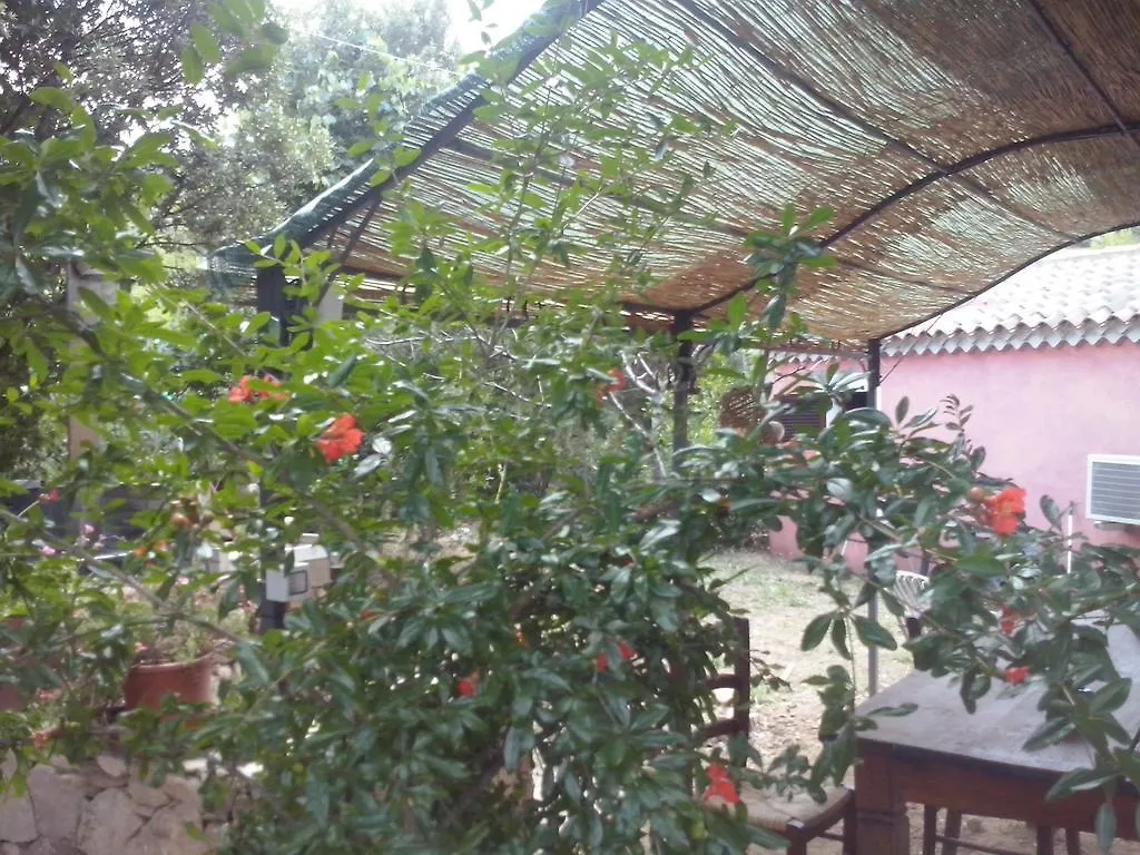 Agriturismo L'Aglientu B&B Loiri Porto San Paolo